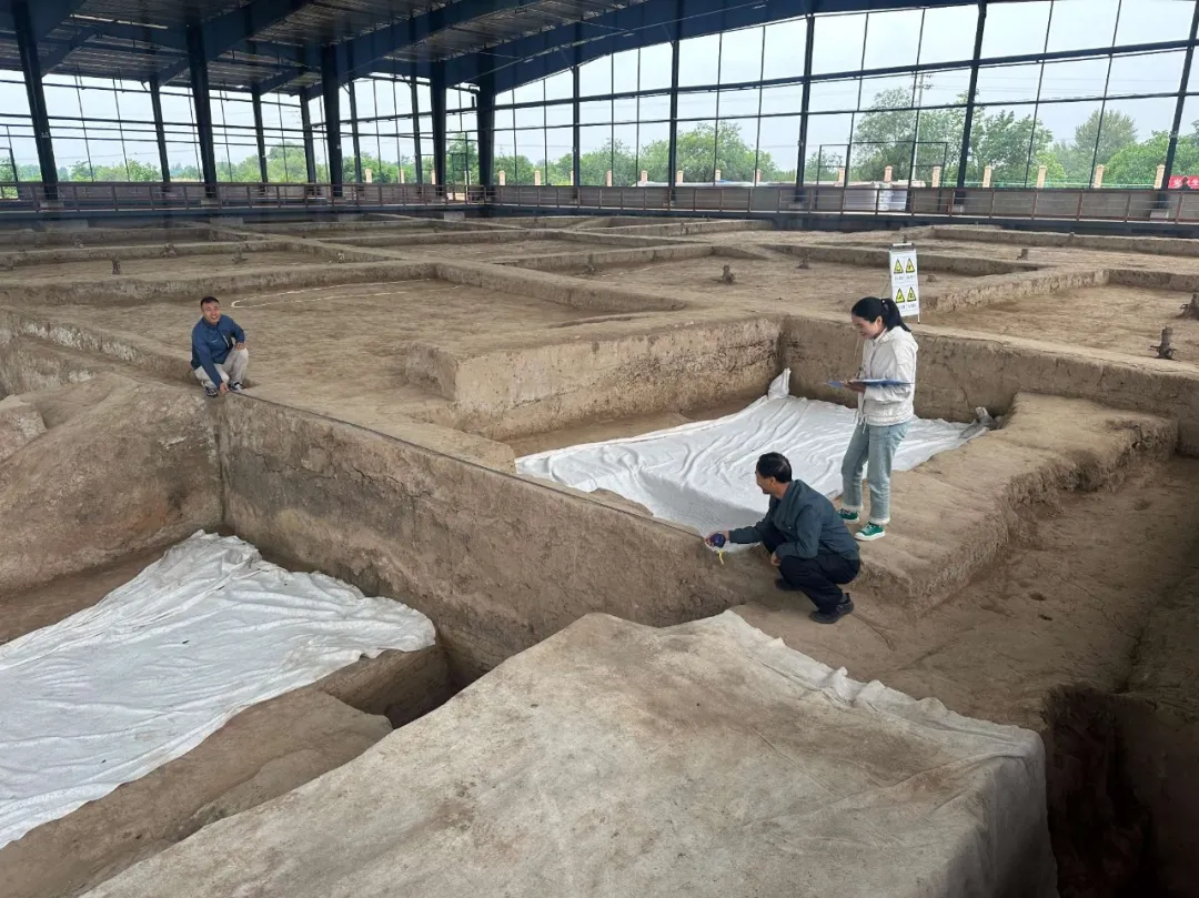 西峰区文体广电和旅游局于6月5日在南佐遗址正式启动第四次文物普查